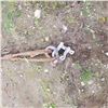 Image 2 : TOW ROPE
