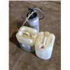 Image 1 : CHAPIN STAINLESS STEEL SPRAYER