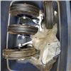 Image 1 : CASTORS