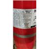 Image 2 : FIRE EXTINGUISHER AND CHAIN