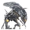 Image 9 : Lot #28 - ALIENS (1986) - Xenomorph Queen Model Miniature Puppet