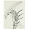 Image 7 : Lot #32 - ALIEN3 (1992) - Pair of Hand-Drawn Runner Concept Sketches by Tom Woodruff, Jr. and Alec G