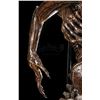 Image 7 : Lot #41 - ALIEN: RESURRECTION (1997) - Xenomorph Alien Display with Tail