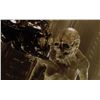 Image 5 : Lot #42 - ALIEN: RESURRECTION (1997) - Newborn Alien Display