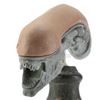 Image 6 : Lot #48 - AVP: ALIEN VS. PREDATOR (2004) - Xenomorph Head Maquette