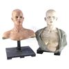 Image 1 : Lot #353 - I AM LEGEND (UNPRODUCED, RIDLEY SCOTT) - Pair of Makeup Test Heads