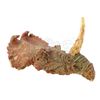 Image 1 : Lot #537 - PREHISTORIC BEAST (1985) - Phil Tippett Collection: Single-Horned Dinosaur Puppet Head