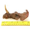 Image 8 : Lot #537 - PREHISTORIC BEAST (1985) - Phil Tippett Collection: Single-Horned Dinosaur Puppet Head