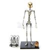 Image 1 : Lot #560 - ROCKETEER, THE (1991) - Stop-Motion Rocketeer Puppet Armature and Related Production Ephe