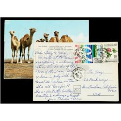 Lot #674 - STAR WARS: A NEW HOPE (1977) - Postcard Sent by Marcia Lucas During Filming