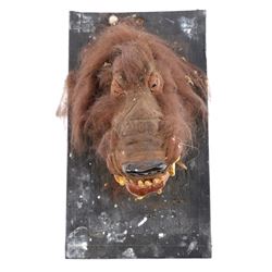 Lot #743 - CARAVAN OF COURAGE: AN EWOK ADVENTURE (1984) - Phil Tippett Collection: Boar-Wolf Head Ma