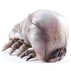 Image 1 : Lot #761 - STARSHIP TROOPERS (1997) - Phil Tippett Collection: Brain Bug Maquette