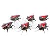 Image 3 : Lot #762 - STARSHIP TROOPERS (1997) - Phil Tippett Collection: Set of Six Chariot Bug Maquettes