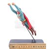 Image 10 : Lot #778 - SUPERMAN (1978) - Superman (Christopher Reeve) Effects Miniature