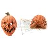 Image 1 : Lot #822 - TRICK (2019) - Pumpkin Mask with Evidence Bag