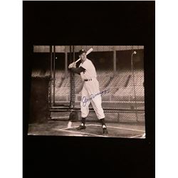 Joe Dimaggio Autograph 8X10 Photo W/COA