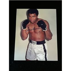 Muhammad Ali  Autogrpah 8x10 Photo W/COA