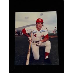 Pete Rose  Autogrpah 8x10 Photo W/COA