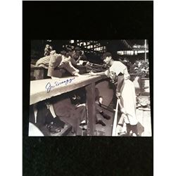 Joe Dimaggio  Autogrpah 8x10 Photo W/COA