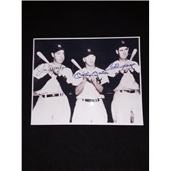 Mickey Mantle Joe Dimaggio Ted Williams Autograph 8x10 Photo W/COA