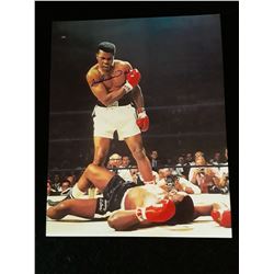Muhammad Ali Autograph 8x10 Photo W/COA