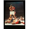 Image 1 : Muhammad Ali Autograph 8x10 Photo W/COA