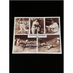 Joe Dimaggio Autograph 8x10 Photo W/COA