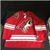 Image 1 : PHOENIX COYOTES CCM HOCKEY JERSEY (SIZE L)