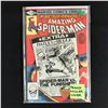 Image 1 : The AMAZING SPIDER-MAN #15 (MARVEL COMICS) KING SIZE ANNUAL!