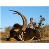 Image 3 : MATWETWE SAFARIS - South Africa | Seven Days Hunting, Two Hunters Includes $1,500 Trophy Fee Credit
