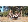 Image 7 : GOULDS TURKEY HUNT IN SONORA MEXICO | For One Hunters with Erwins Outdoors