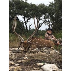 LAZY CK RANCH HUNT TEXAS | Axis Deer