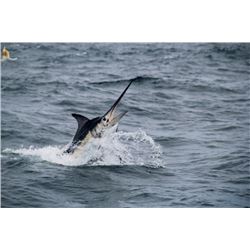 FISHING IN PANAMA | Four Fisherman and Four Non-Fishermen