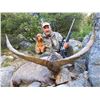 Image 1 : SPAIN | BECEITE IBEX includes trophy fees | Three days - Two Hunters - Two Ibex