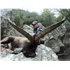 Image 3 : SPAIN | BECEITE IBEX includes trophy fees | Three days - Two Hunters - Two Ibex