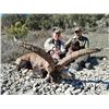 Image 4 : SPAIN | BECEITE IBEX includes trophy fees | Three days - Two Hunters - Two Ibex