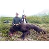 Image 1 : RAINY PASS LODGE - ALASKA | Grizzly/Brown Bear & Black Bear Hunt Combo