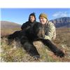 Image 4 : RAINY PASS LODGE - ALASKA | Grizzly/Brown Bear & Black Bear Hunt Combo