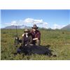 Image 6 : RAINY PASS LODGE - ALASKA | Grizzly/Brown Bear & Black Bear Hunt Combo