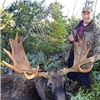 Image 1 : ARLUK OUTFITTERS - Newfoundland, Canada | Moose and Black Bear Combo Hunt