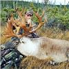 Image 6 : ARLUK OUTFITTERS - Newfoundland, Canada | Moose and Black Bear Combo Hunt