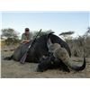 Image 1 : MOZAMBIQUE | BUFFALO SAFARI includes trophy fee | Ivan Carter, Mark Haldane and Zambeze Delta Safari