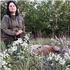 Image 6 : ROMANIA HUNTING OUTFITTERS | Chamois and Roe Deer Combo or Red Stag and Roe Deer Combo, Hunters Choi