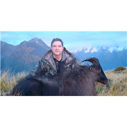 DEERBROOKE SAFARIS - NEW ZEALAND | Bull Tahr for One Hunter