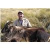 Image 3 : DEERBROOKE SAFARIS - NEW ZEALAND | Bull Tahr for One Hunter