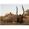 Image 1 : NUMZAAN SAFARIS | 2 Nyala Bulls, 2 Hunters & 7 Days