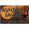 Image 2 : NUMZAAN SAFARIS | 2 Nyala Bulls, 2 Hunters & 7 Days