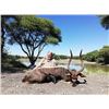 Image 5 : NUMZAAN SAFARIS | 2 Nyala Bulls, 2 Hunters & 7 Days