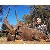 Image 3 : MATWETWE SAFARIS - South Africa | Nyala and Tsessebe - Two hunters, five days and includes the troph