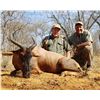 Image 6 : MATWETWE SAFARIS - South Africa | Nyala and Tsessebe - Two hunters, five days and includes the troph